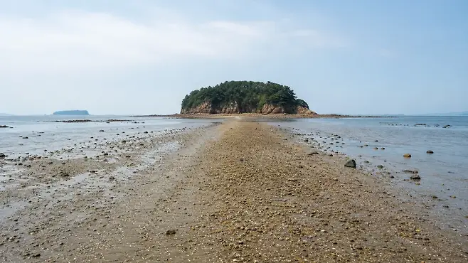 무창포 신비의 바닷길과 석대도 방향의 썰물 해변