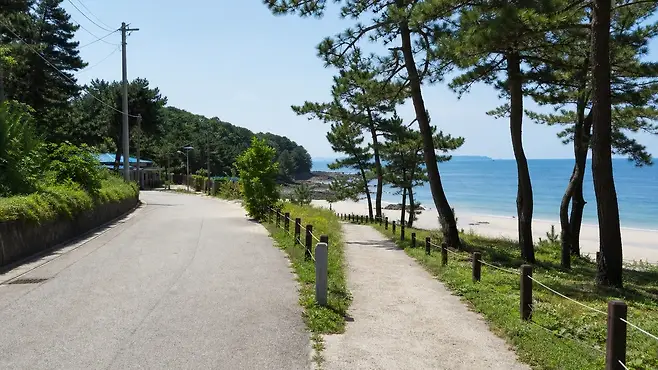 무창포해수욕장 해 질 무렵의 해변과 송림 실루엣