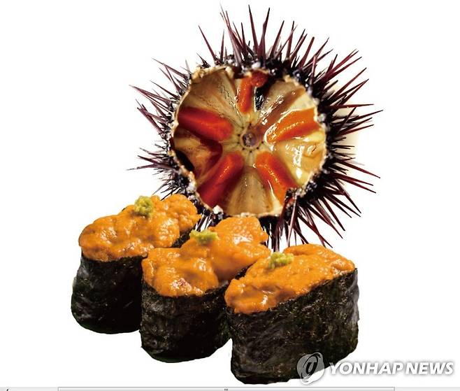 성게 [연합뉴스 자료사진]