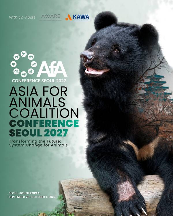 세계 최대 규모 동물복지 국제 콘퍼런스가 내년 가을 서울에서 열린다. AfA 콘퍼런스 제공