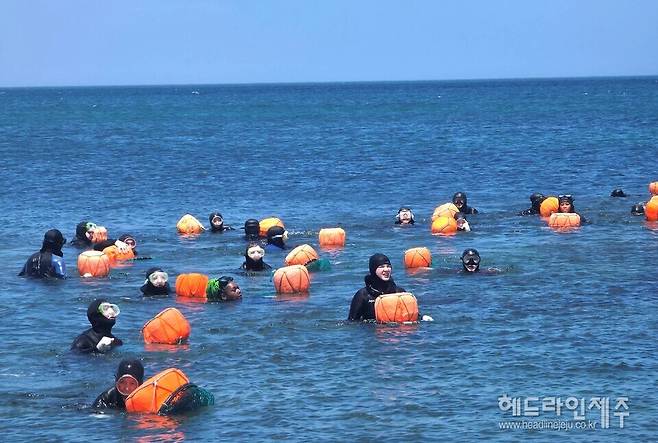 제주문화클래스 해녀문화 체험 프로그램.