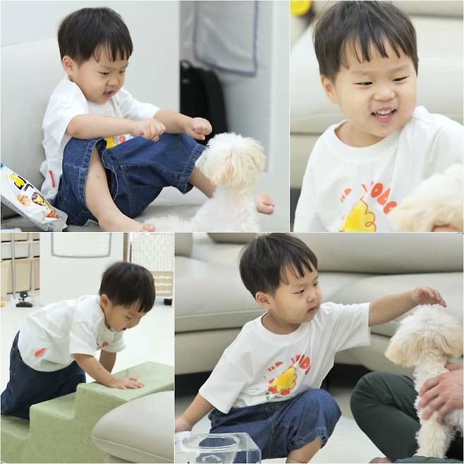 ‘슈퍼맨이 돌아왔다’(슈돌)