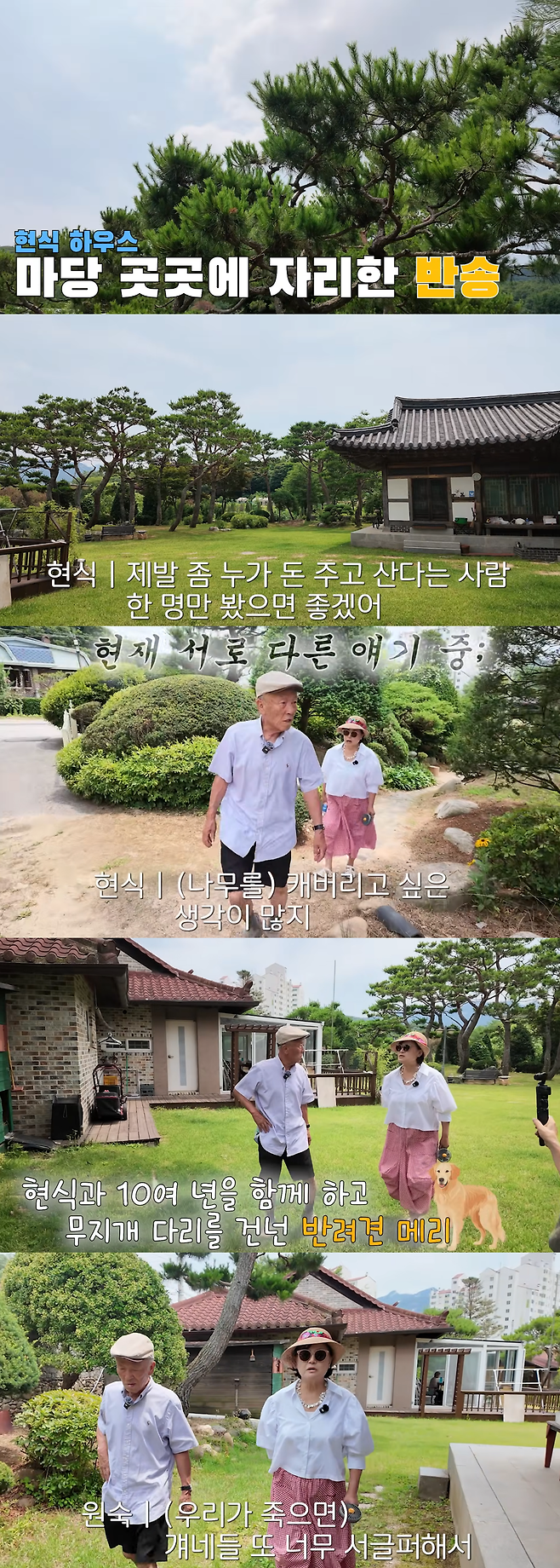 박원숙 유튜브