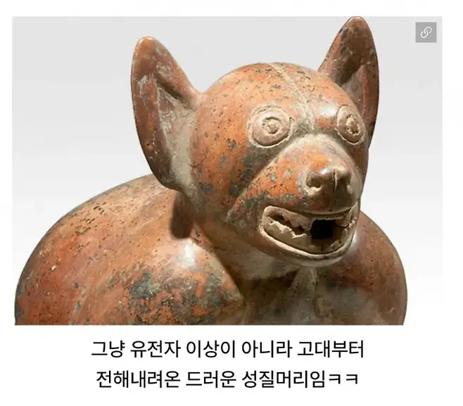 13764.webp 고대부터 인정된 것.jpg