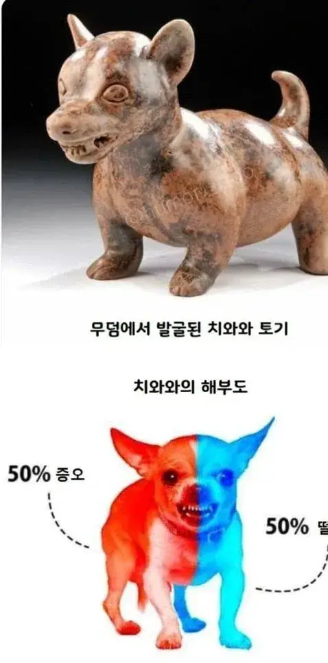 13766.webp 고대부터 인정된 것.jpg