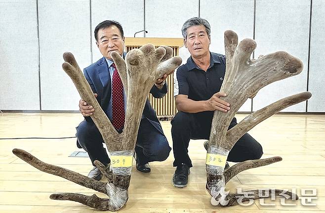22일 충남 아산축산농협 대회의실에서 열린 ‘제34회 전국 우수사슴 선발대회’에서 대상을 받은 정환대 오산사슴농장 대표(오른쪽)와 이해곤 한국사슴협회장이 녹용을 들어 보이고 있다.