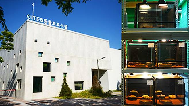 충남 서천에 위치한 국립생태원 CITES동물 보호시설. 국립생태원 홈페이지 캡처