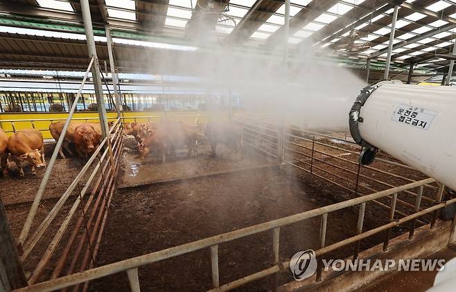 축사에 물 분사 [연합뉴스 자료 사진]