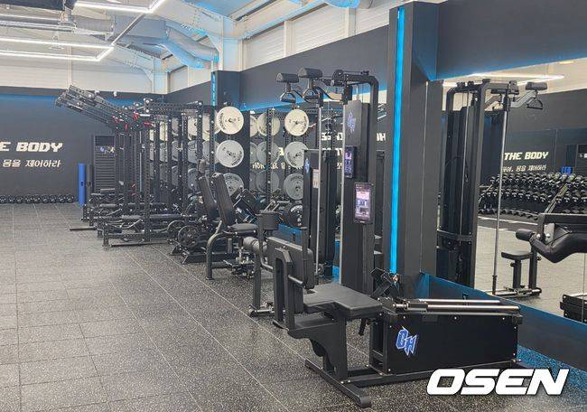 OSEN DB