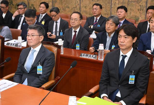 정몽규 전 대한축구협회장(왼쪽)과 홍명보 전 축구대표팀 감독이 30일 국회 문화체육관광위원회에서 열린 대한축구협회 현안 관련 청문회에 증인으로 출석해 있다.  [연합뉴스]