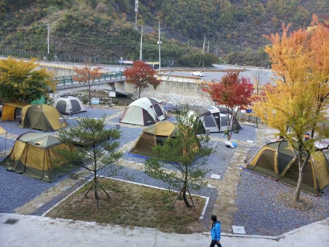 단양관광공사는 소선암오토캠핑장의 진입 교량 정비공사와 시설 개선을 마치고 8월 1일 재개장한다. 사진은 소선암오토캠핑장 모습. 단양군 제공