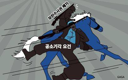 입법 폭주