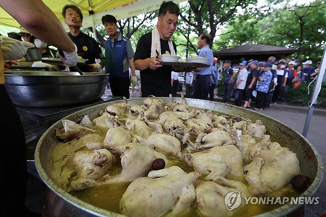 삼계탕으로 이겨내는 무더위 [연합뉴스 자료사진]