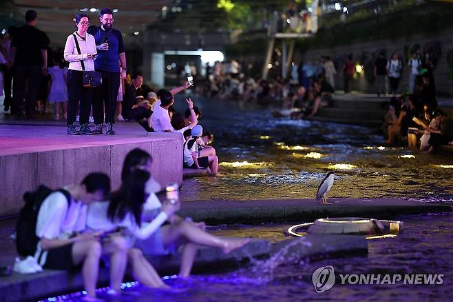 열대야에 청계천에서 더위 식히는 시민·관광객들 [연합뉴스 자료사진]