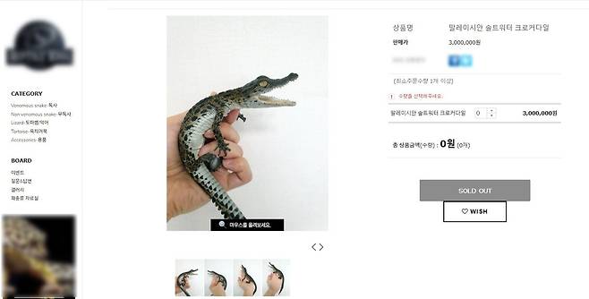 온라인 파충류 샵에서 거래되고 있는 국제멸종위기종 악어 [양서·파충류 판매 사이트 캡처. 재판매 및 DB 금지]