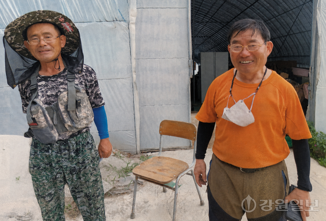 ◇박창희(76·사진 오른쪽)·박정희(73) 광부 형제. 형제가 탄광에서 보낸 세월을 합치면 53년에 달한다. 사진=강릉지역 전직 광부 실태조사보고서