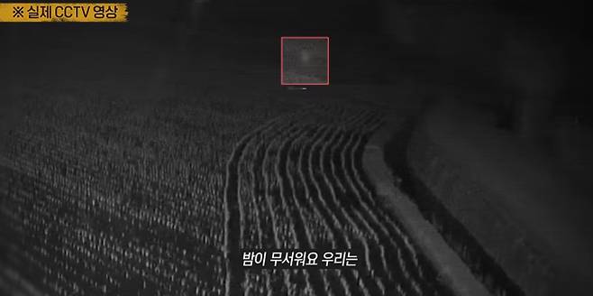 ‘그것이 알고 싶다’ 통영 편 (그알)&nbsp;
