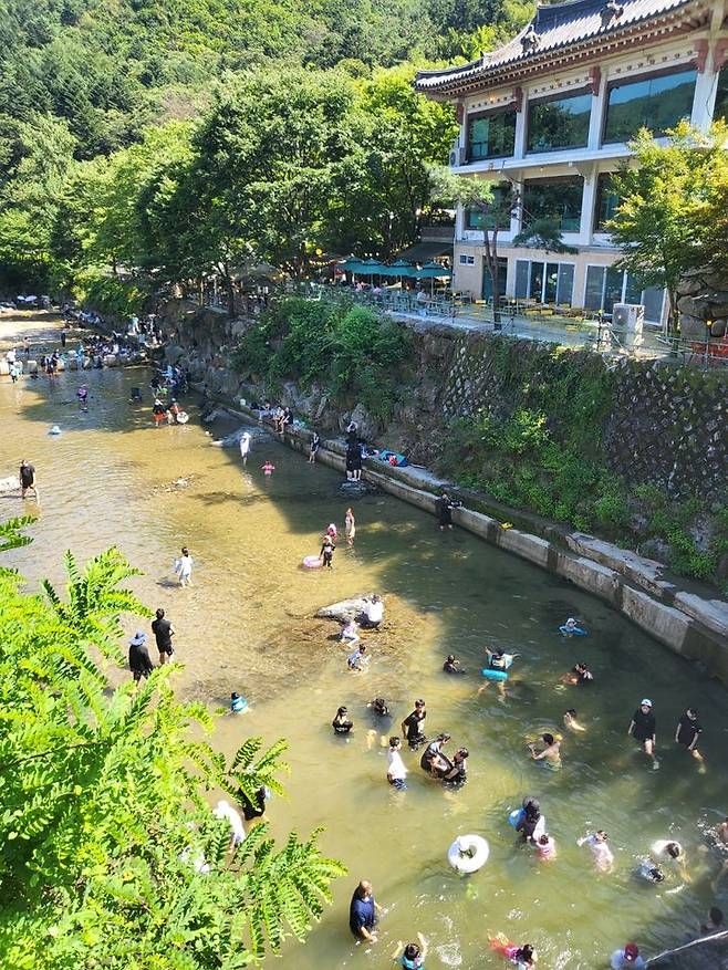 [광주=뉴시스] 최유리 인턴기자=광자원 계곡에서 물놀이를 즐기는 시민들의 모습. 인근 카페 관계자에 따르면 이날 약 700명이 이곳을 방문했다. *재판매 및 DB 금지
