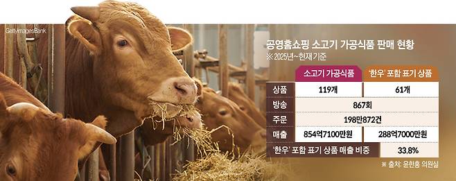 공영홈쇼핑 소고기 가공식품 판매 현황(이투데이 그래픽팀=신미영 기자)