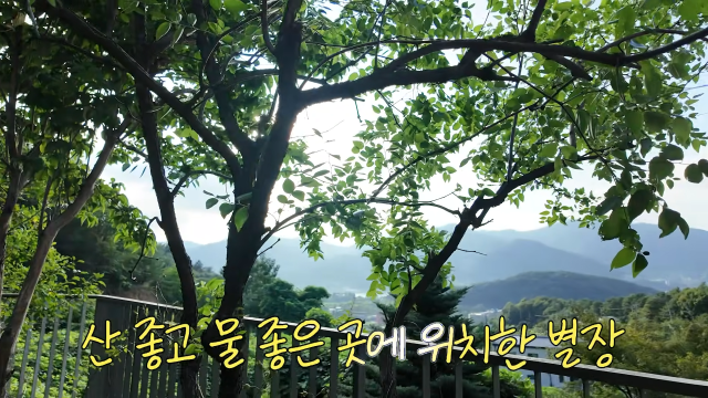황보라 유튜브 채널
