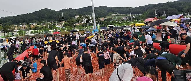◇14일 횡성군 둔내종합체육공원에서 열린 제15회 둔내고랭지토마토축제를 찾은 관광객들이 대형 토마토 풀장에서 토마토 속에 숨겨진 금반지 등 경품을 찾고 있다.