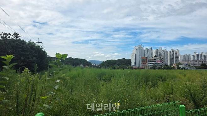 14일 경기 남양주시 와부읍 개발 대상지에서 바라본 주변 아파트 단지. 뒤로 덕소쌍용아파트가 보인다. ⓒ데일리안 이수현 기자