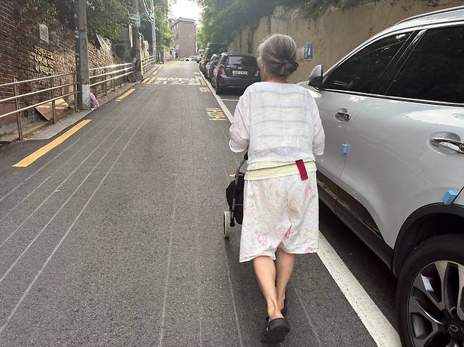 지난 10일 서울 강북구에 사는 정모(75)씨가 장을 본 뒤 수박과 각종 식료품이 든 손수레를 끌며 언덕을 오르고 있다. 폭염에도 집에서 편도로 한 시간이 걸리는 경동시장까지 가서 장을 보고 온 것이다. /강민지 인턴기자