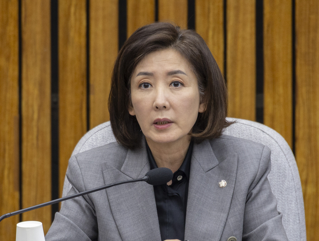 나경원 국민의힘 의원. [연합뉴스]
