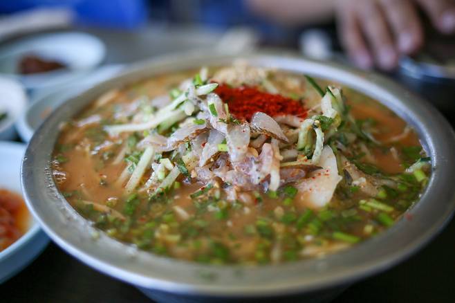 제주도 자리물회 by 채지형, CC BY