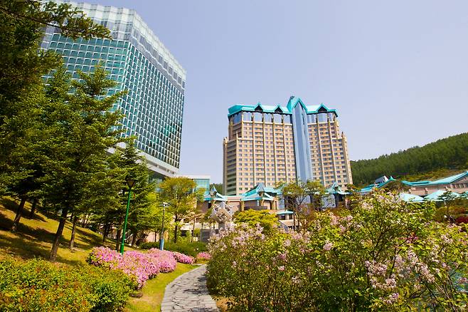 ▲ 강원랜드 전경