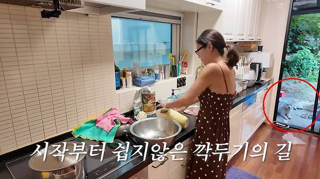 유튜브 채널 '황정음'