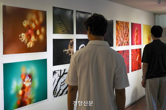 19일 서울 종로구 인사동 갤러리 인덱스를 찾은 시민들이 사진가 김호웅의 전시 ‘문섬이야기’를 관람하고 있다. 이준헌 기자