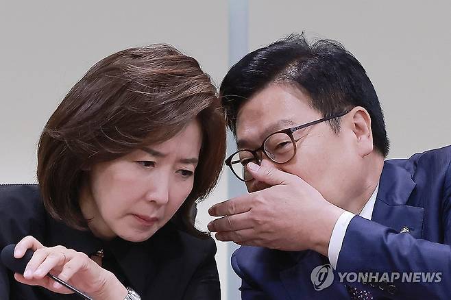대화하는 국민의힘 정점식 원내대표와 나경원 의원 [연합뉴스 자료사진]