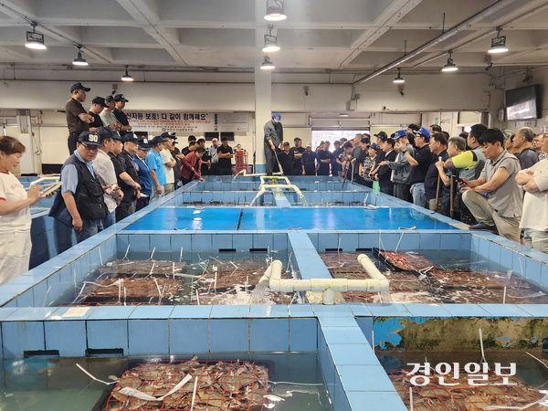 22일 오전 8시께 인천 중구 인천수협 연안위판장에서 가을 첫 꽃게 경매가 진행되고 있다. 2026.8.22 /유진주기자 yoopearl@kyeongin.com