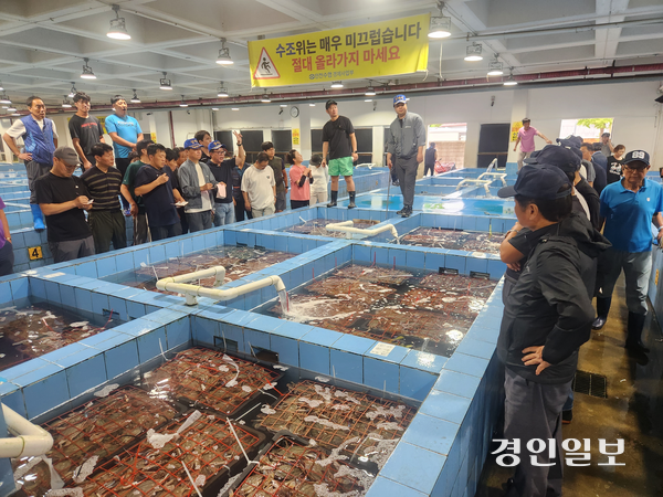 22일 오전 8시께 인천 중구 인천수협 연안위판장에서 가을 첫 꽃게 경매가 진행되고 있다. 2026.8.22 /유진주기자 yoopearl@kyeongin.com