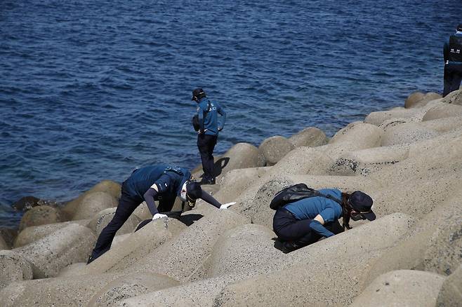 23일 오전 제주시 한림항 인근 방파제에서 경찰 인력이 지난 5월 실종신고가 최초 접수된 장미란(37)씨를 찾기 위해 테트라포드를 집중 수색하고 있다. 2026.08.23 제주=뉴시스