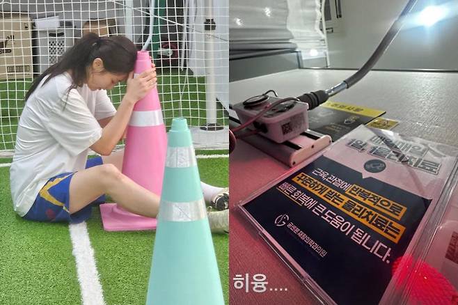 출처:안혜경