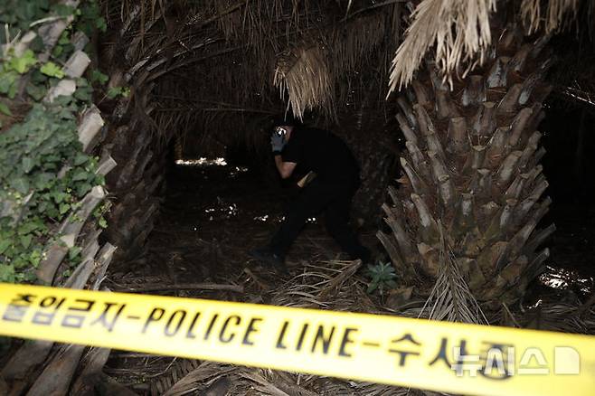 [제주=뉴시스] 우장호 기자 = 경찰 과학수사대(KCSI)가 24일 오후 제주시 한림읍 수원리의 한 야자수 농장에서 발견된 장미란씨 시신 현장을 감식하고 있다. 2026.08.24. woo1223@newsis.com