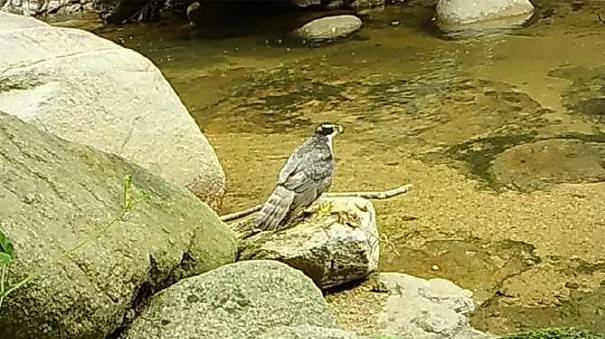 팔공산 기도터 철거 현장