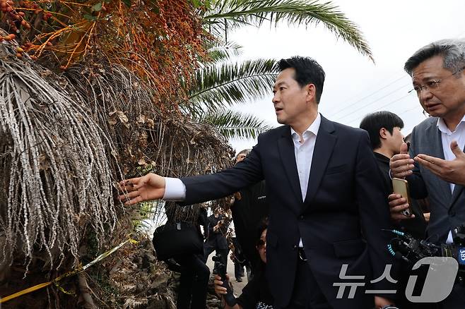 장동혁 국민의힘 대표가 28일 제주시 한림읍을 찾아 실종신고 허위 종결 사건 피해자 장 모씨의 시신이 발견된 야자수숲 현장을 살펴보고 있다. 2026.8.28 ⓒ 뉴스1 안은나 기자