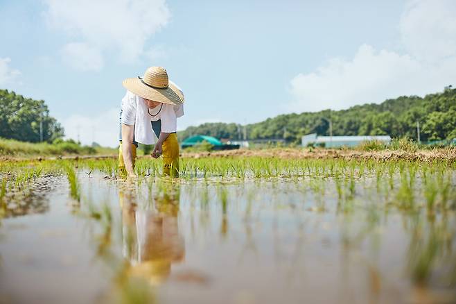 사진은 기사 내용과 관련 없음. [게티이미지뱅크]