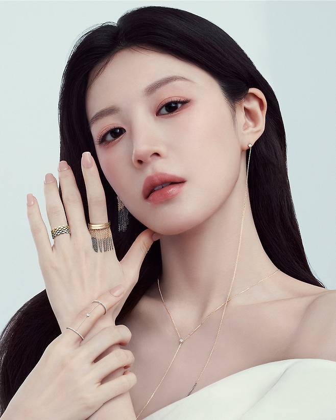 디디에 두보
