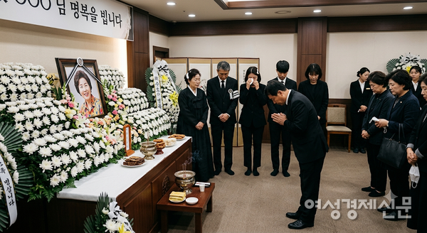 한 사람의 일생이 마무리되는 데는 단 9개월 밖에 걸리지 않았다. AI로 생성된 이미지임 /제미나이 나노바나나