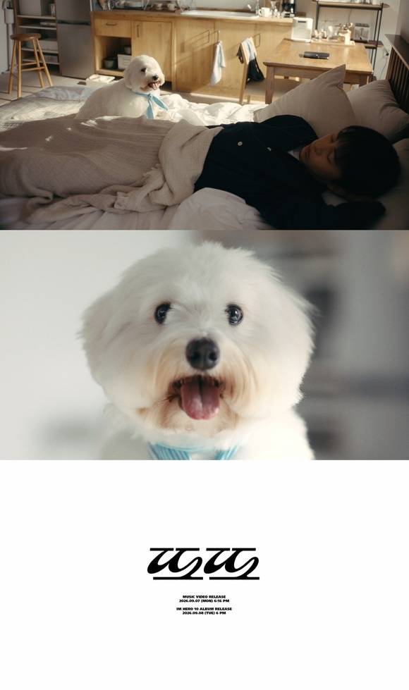 그동안 임영웅의 자작곡은 '모래 알갱이'와 '온기', '비가 와서'처럼 위로와 그리움에 가까운 서정적인 정서가 중심이었다. 신보 타이틀곡 '또또'가 공개된 일부처럼 밝고 재치 있는 결이라면, 창작자로서 감정의 폭을 넓히는 또 다른 전환점이다. 사진은 뮤직비디오 티저. /물고기뮤직