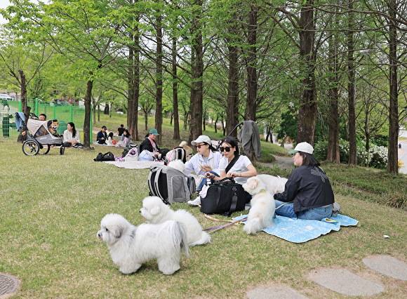 반려견과 함께 하는 펫투어 참여자들  [사진=임실군 ]