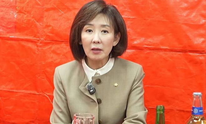나경원 국민의힘 의원. 유튜브 채널 고성국티브이(TV) 갈무리