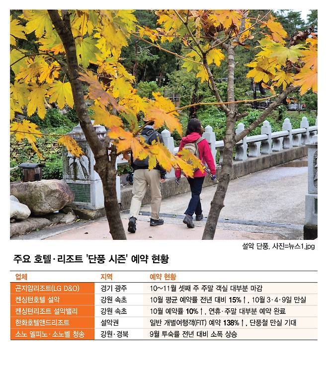 /그래픽=김현정 디자인 기자