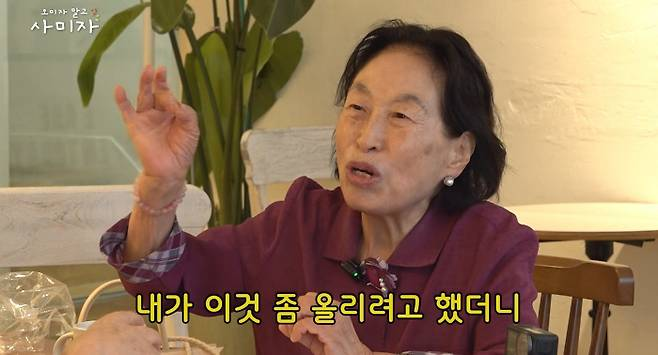 /사진=유튜브 '오미자 말고 사미자' 캡처