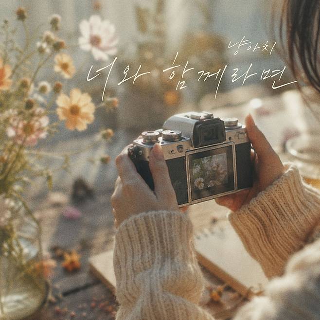 요구르트 스튜디오