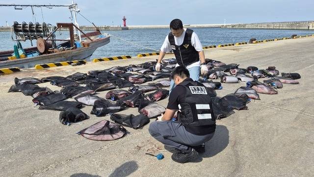 해경 수사관들이 포항 앞바다에 대기 중이던 어선에서 압수한 고래고기 89자루(1마리 분량)를 확인하고 있다.[포항해양경찰서 제공]